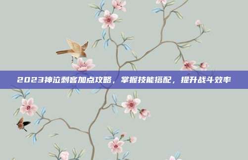 2023神泣刺客加点攻略,掌握技能搭配,提升战斗效率-第1张图片-速奇网 2023神泣刺客加点攻略,掌握技能搭配,提升战斗效率-第1张图片-速奇网