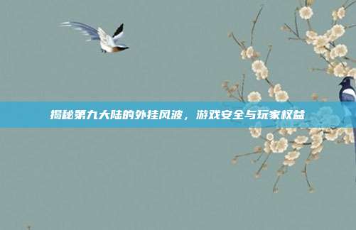 揭秘第九大陆的外挂风波，游戏安全与玩家权益-第1张图片-速奇网