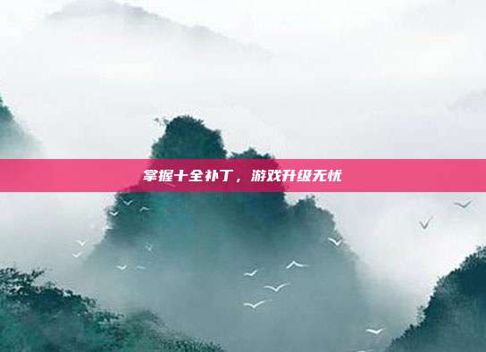 掌握十全补丁,游戏升级无忧-第1张图片-速奇网 掌握十全补丁,游戏升级无忧-第1张图片-速奇网