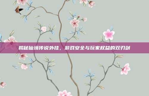揭秘仙境传说外挂，游戏安全与玩家权益的双刃剑-第1张图片-速奇网