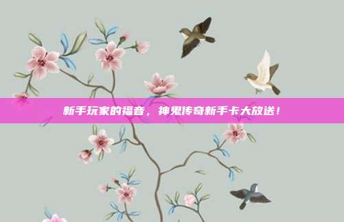 新手玩家的福音，神鬼传奇新手卡大放送！-第1张图片-速奇网