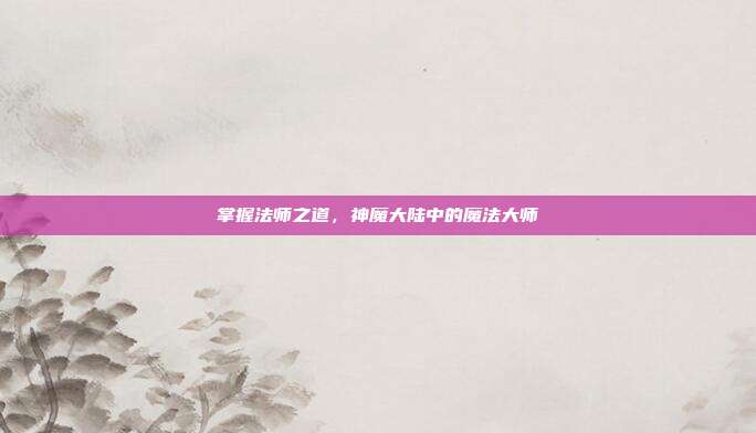 掌握法师之道，神魔大陆中的魔法大师-第1张图片-速奇网