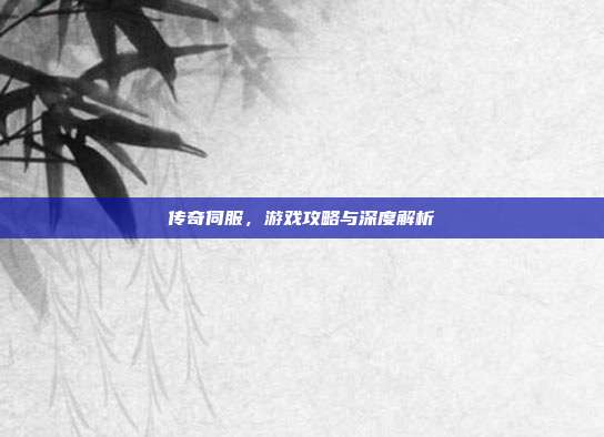 传奇伺服，游戏攻略与深度解析-第1张图片-速奇网