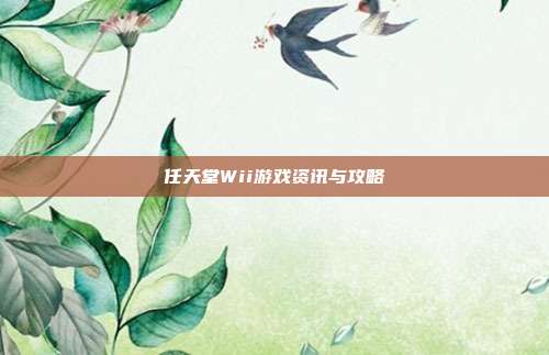 任天堂Wii游戏资讯与攻略-第1张图片-速奇网 任天堂Wii游戏资讯与攻略-第1张图片-速奇网