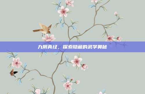 九阴真经，探索隐藏的武学奥秘-第1张图片-速奇网