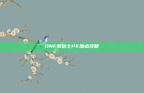 DNF驭剑士PK加点攻略-第1张图片-速奇网