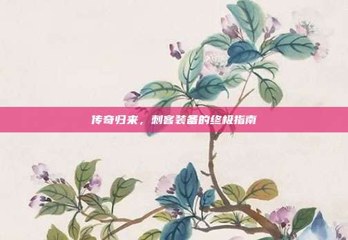 传奇归来,刺客装备的终极指南-第1张图片-速奇网 传奇归来,刺客装备的终极指南-第1张图片-速奇网