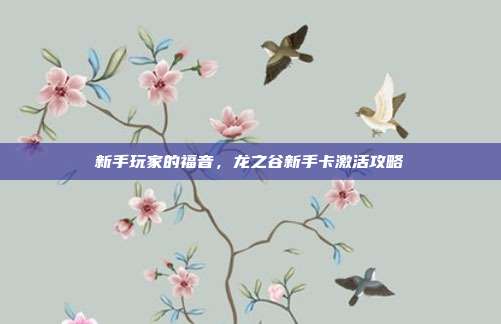 新手玩家的福音，龙之谷新手卡激活攻略-第1张图片-速奇网