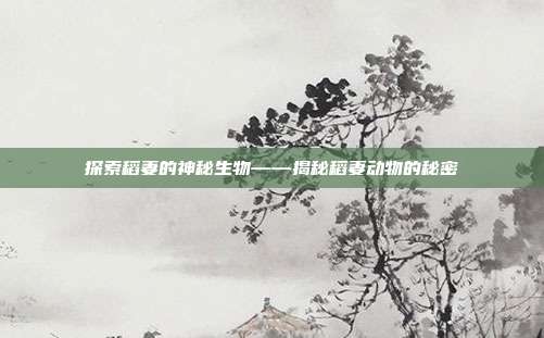 探索稻妻的神秘生物——揭秘稻妻动物的秘密-第1张图片-速奇网 探索稻妻的神秘生物——揭秘稻妻动物的秘密-第1张图片-速奇网
