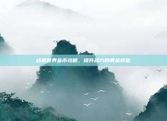 战机世界金币攻略，提升战力的黄金钥匙-第1张图片-速奇网