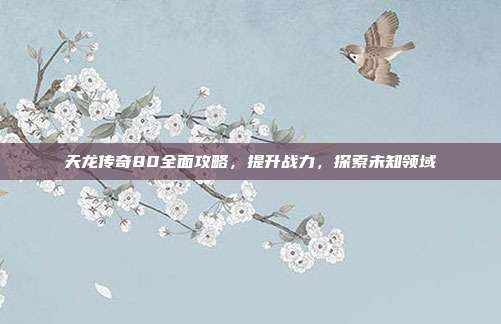 天龙传奇80全面攻略,提升战力,探索未知领域-第1张图片-速奇网 天龙传奇80全面攻略,提升战力,探索未知领域-第1张图片-速奇网
