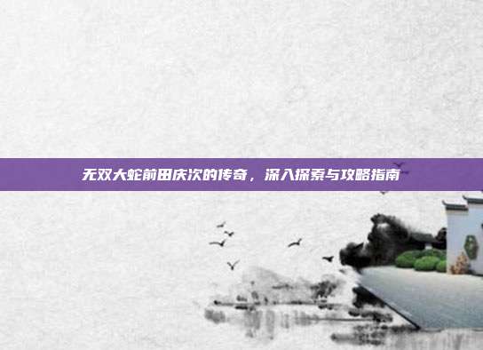 无双大蛇前田庆次的传奇，深入探索与攻略指南-第1张图片-速奇网