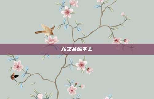 龙之谷进不去-第1张图片-速奇网