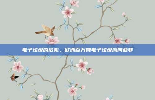 电子垃圾的危机，欧洲百万吨电子垃圾流向亚非-第1张图片-速奇网
