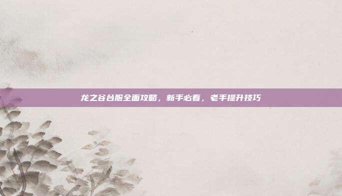 龙之谷台服全面攻略，新手必看，老手提升技巧-第1张图片-速奇网