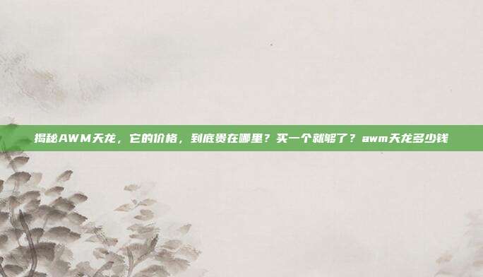 揭秘AWM天龙,它的价格,到底贵在哪里?买一个就够了?awm天龙多少钱-第1张图片-速奇网 揭秘AWM天龙,它的价格,到底贵在哪里?买一个就够了?awm天龙多少钱-第1张图片-速奇网