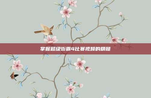 掌握超级街霸4比赛视频的精髓-第1张图片-速奇网 掌握超级街霸4比赛视频的精髓-第1张图片-速奇网