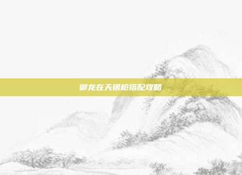 御龙在天银枪搭配攻略-第1张图片-速奇网 御龙在天银枪搭配攻略-第1张图片-速奇网