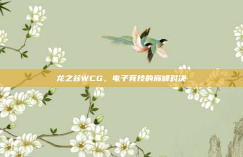 龙之谷WCG，电子竞技的巅峰对决-第1张图片-速奇网