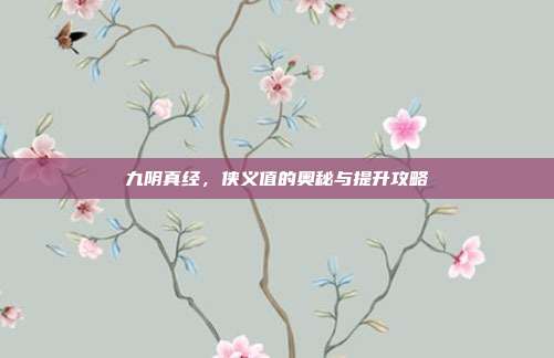 九阴真经,侠义值的奥秘与提升攻略-第1张图片-速奇网 九阴真经,侠义值的奥秘与提升攻略-第1张图片-速奇网