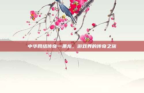 中华网络传奇一条龙,游戏界的传奇之旅-第1张图片-速奇网 中华网络传奇一条龙,游戏界的传奇之旅-第1张图片-速奇网
