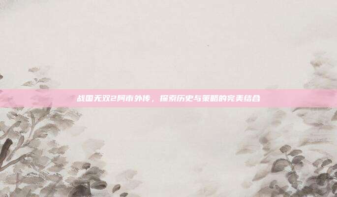 战国无双2阿市外传,探索历史与策略的完美结合-第1张图片-速奇网 战国无双2阿市外传,探索历史与策略的完美结合-第1张图片-速奇网