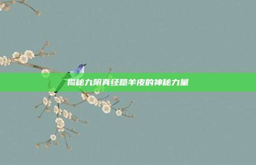 揭秘九阴真经糙羊皮的神秘力量-第1张图片-速奇网