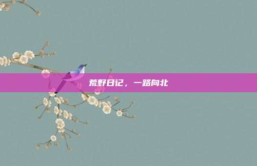荒野日记，一路向北-第1张图片-速奇网