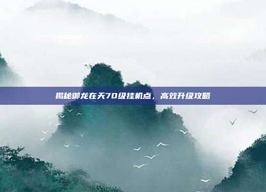 揭秘御龙在天70级挂机点,高效升级攻略-第1张图片-速奇网 揭秘御龙在天70级挂机点,高效升级攻略-第1张图片-速奇网