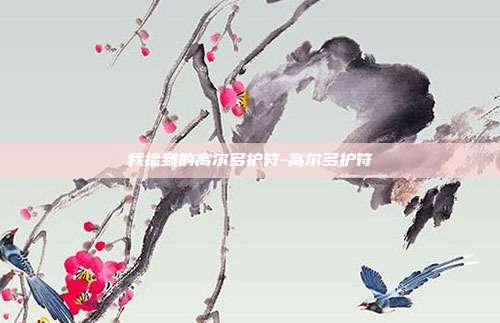 我捡到的高尔多护符-高尔多护符-第1张图片-速奇网 我捡到的高尔多护符-高尔多护符-第1张图片-速奇网