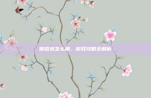 傻瓜包怎么用,游戏攻略全解析-第1张图片-速奇网 傻瓜包怎么用,游戏攻略全解析-第1张图片-速奇网