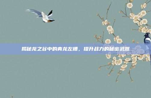 揭秘龙之谷中的青龙左槽，提升战力的秘密武器-第1张图片-速奇网