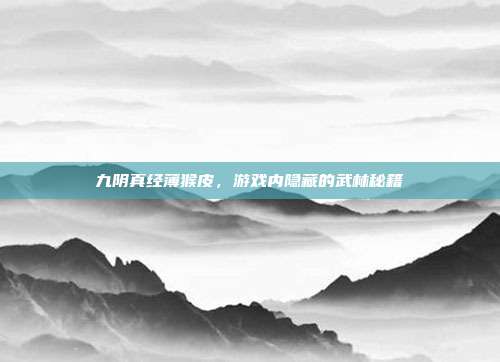 九阴真经薄猴皮,游戏内隐藏的武林秘籍-第1张图片-速奇网 九阴真经薄猴皮,游戏内隐藏的武林秘籍-第1张图片-速奇网
