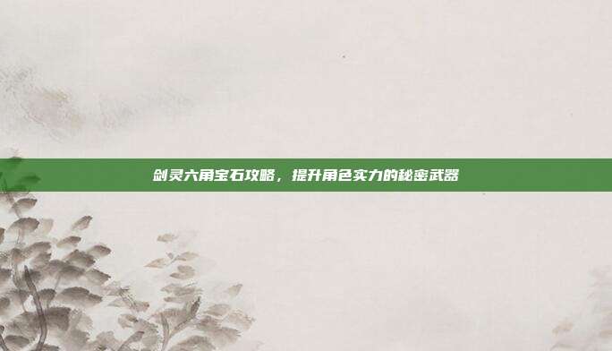 剑灵六角宝石攻略，提升角色实力的秘密武器-第1张图片-速奇网