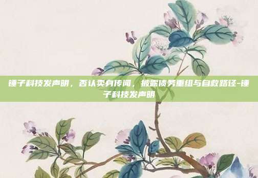 锤子科技发声明,否认卖身传闻,披露债务重组与自救路径-锤子科技发声明-第1张图片-速奇网 锤子科技发声明,否认卖身传闻,披露债务重组与自救路径-锤子科技发声明-第1张图片-速奇网