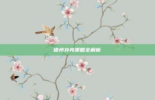 德州扑克策略全解析-第1张图片-速奇网 德州扑克策略全解析-第1张图片-速奇网