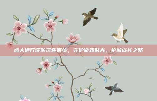 盛大通行证防沉迷系统，守护游戏时光，护航成长之路-第1张图片-速奇网