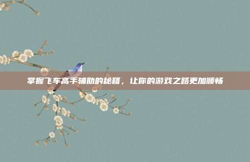 掌握飞车高手辅助的秘籍，让你的游戏之路更加顺畅-第1张图片-速奇网