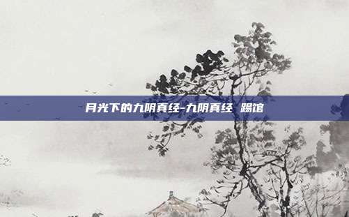 月光下的九阴真经-九阴真经 踢馆-第1张图片-速奇网 月光下的九阴真经-九阴真经 踢馆-第1张图片-速奇网