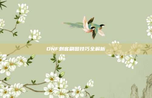 DNF刺客刷图技巧全解析-第1张图片-速奇网