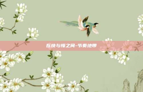 在快与慢之间-节奏地带-第1张图片-速奇网 在快与慢之间-节奏地带-第1张图片-速奇网