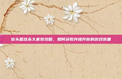 街头篮球永久套装攻略，如何获取并提升你的游戏装备-第1张图片-速奇网