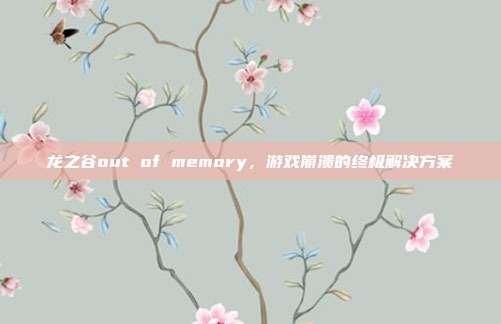 龙之谷out of memory，游戏崩溃的终极解决方案-第1张图片-速奇网