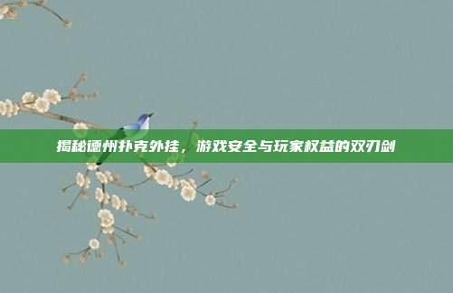 揭秘德州扑克外挂,游戏安全与玩家权益的双刃剑-第1张图片-速奇网 揭秘德州扑克外挂,游戏安全与玩家权益的双刃剑-第1张图片-速奇网