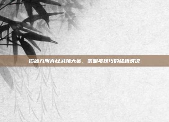 揭秘九阴真经武林大会,策略与技巧的终极对决-第1张图片-速奇网 揭秘九阴真经武林大会,策略与技巧的终极对决-第1张图片-速奇网