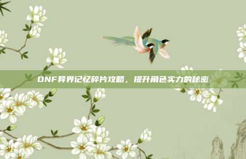 DNF异界记忆碎片攻略，提升角色实力的秘密-第1张图片-速奇网