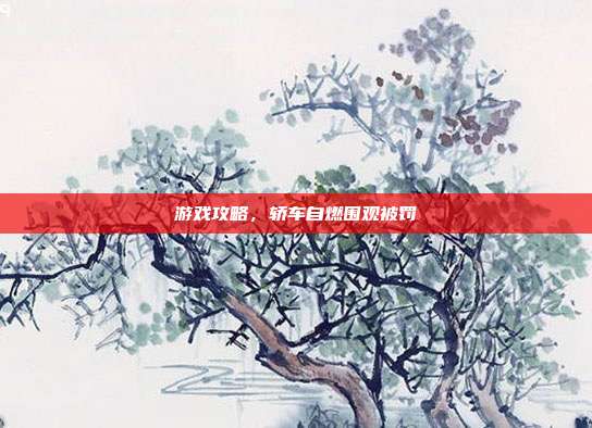 游戏攻略,轿车自燃围观被罚-第1张图片-速奇网 游戏攻略,轿车自燃围观被罚-第1张图片-速奇网