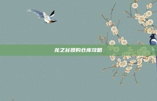 龙之谷团购仓库攻略-第1张图片-速奇网