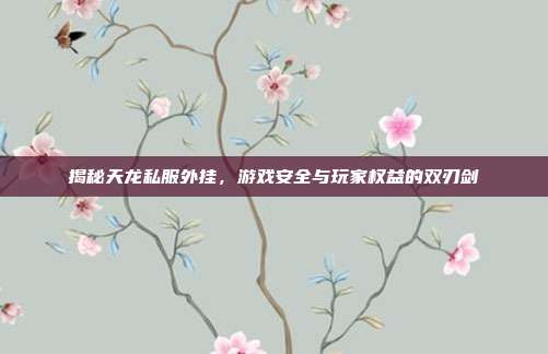 揭秘天龙私服外挂，游戏安全与玩家权益的双刃剑-第1张图片-速奇网