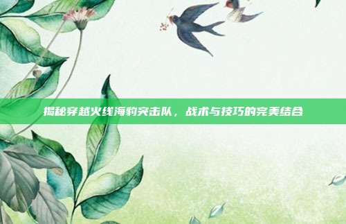 揭秘穿越火线海豹突击队，战术与技巧的完美结合-第1张图片-速奇网